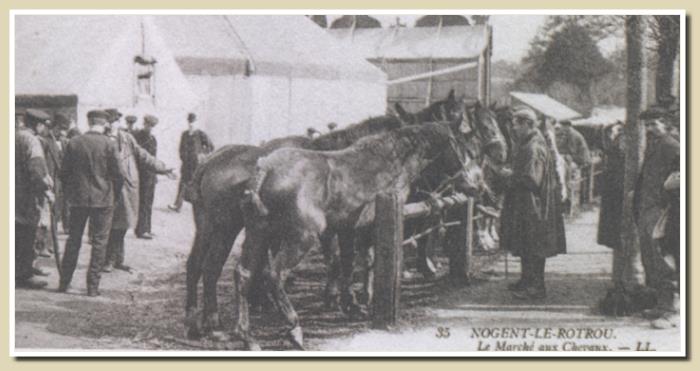 foire aux chevaux en 1900