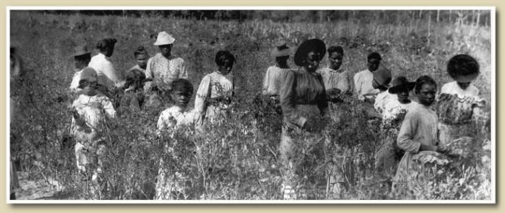 noirs dans une plantation en 1880