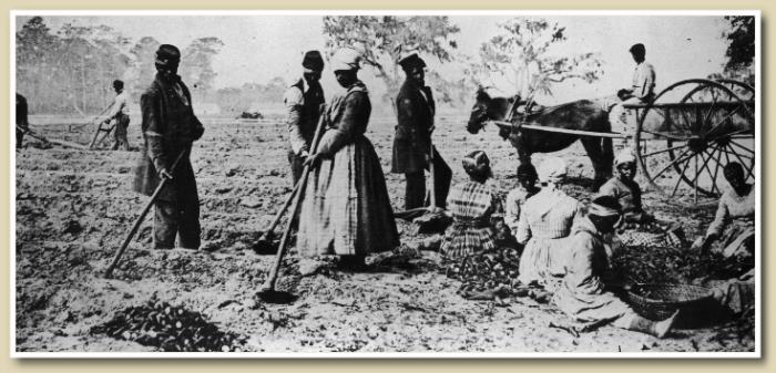 noirs dans une plantation en 1860 aux USA