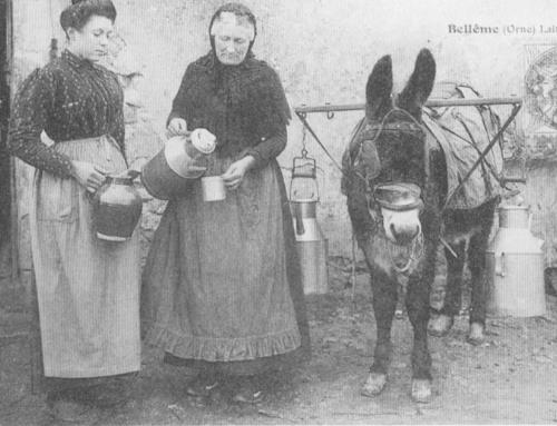 ramasseur de lait en 1900