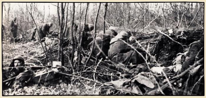 le bois des Caures en 1916