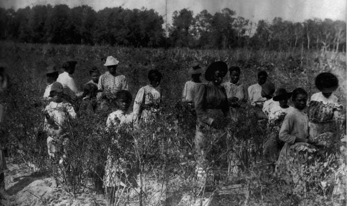 En 1860, la plupart des esclaves sont non qualifiés et travaillent aux champs.