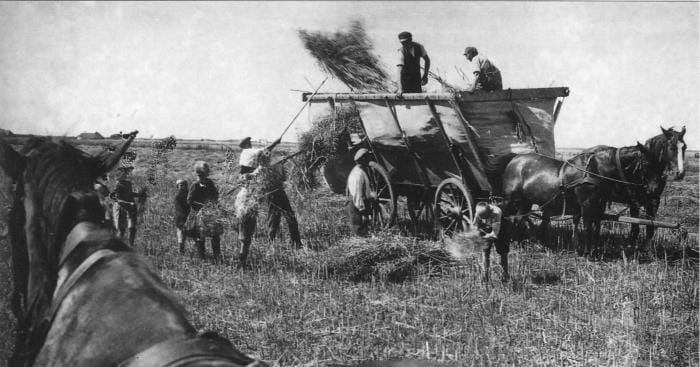 Le programme agricole et l'agriculture sous régime nazi