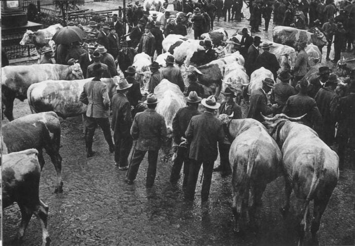 L'agriculture et le travail du fermier sous le régime nazi