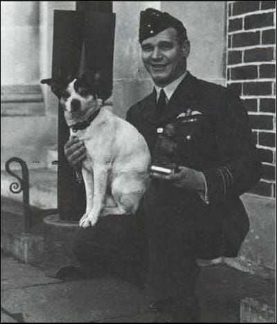 Les As anglais pendant la bataille d'Angleterre en 1940
