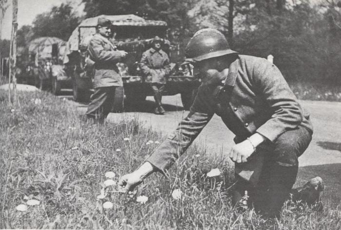 La passivité des français en septembre 1939
